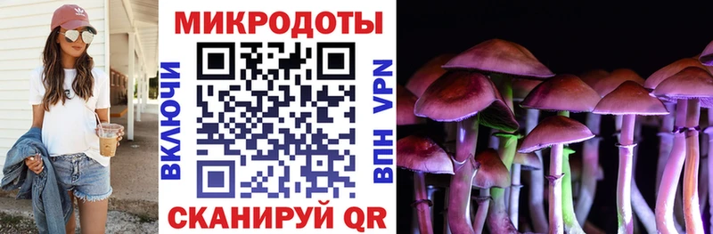 цены   ссылка на мегу ссылки  Псилоцибиновые грибы Cubensis  Чердынь 